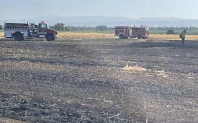 Firefighters knock down 1 acre grass fire south of Corning
