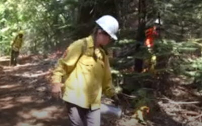 ‘California is meant to burn’: Experts teach landowners art of prescribed burns