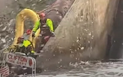 VIDEO: A rescue worker repelled down from a helicopter to lift 2 firefighters from a boat