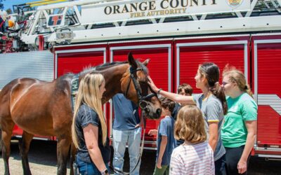 Choco the Therapy Horse Celebrates Retirement with OC Firefighters