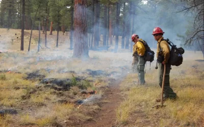 Advocates urge passage of wildland firefighter pay bill in Congress