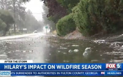 What does the record rainfall Hilary dumped on CA mean for wildfire risk?