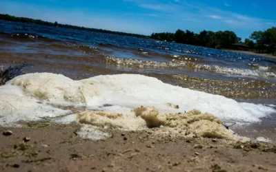 ‘Like a Russian roulette’: US military firefighters grapple with unknowns of PFAS exposure