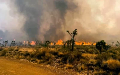 Controlled burns in California could reduce risk of catastrophic wildfire by 60 percent