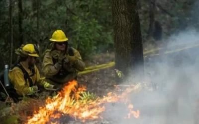 Fight fire with fire: controlled burns stem California blazes