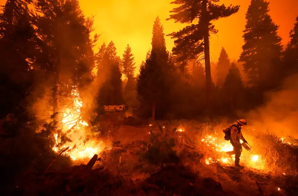 Husband jailed after expectant parents’ gender-reveal stunt sparks deadly wildfire