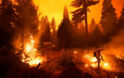 Husband jailed after expectant parents’ gender-reveal stunt sparks deadly wildfire