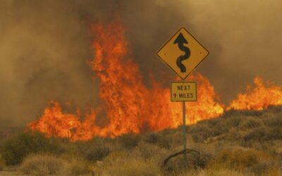 After winter storms, California can expect a late start to the wildfire season