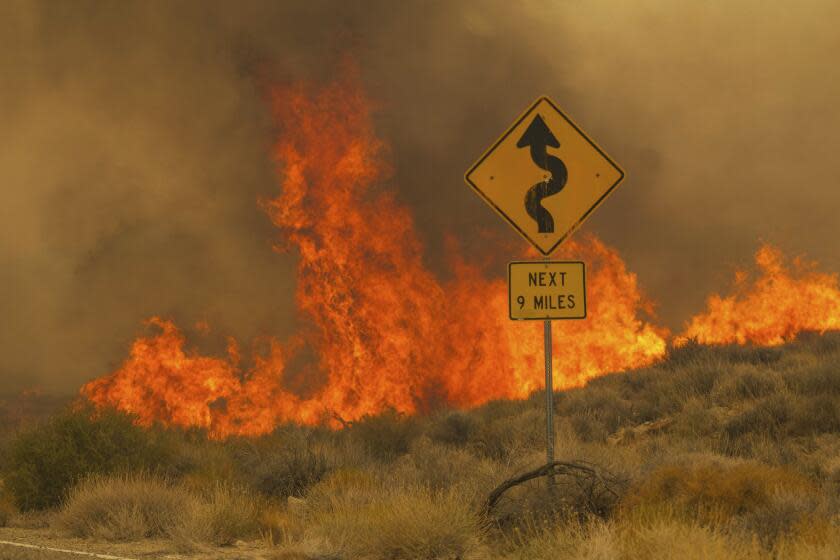 After winter storms, California can expect a late start to the wildfire season