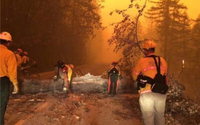 Wildland firefighter numbers plummet, as need for job rises