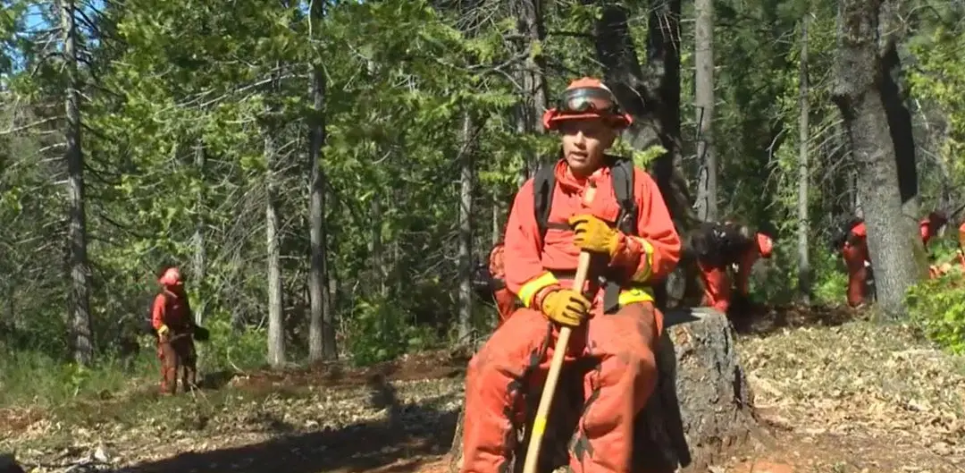 California’s inmate fire program expands to young offenders