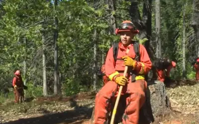 California’s inmate fire program expands to young offenders