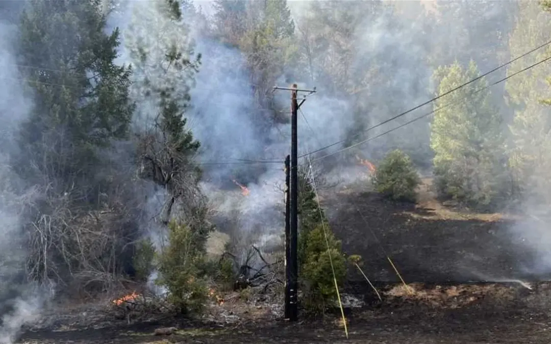 Sierra County wildland fire was started by someone disposing of ashes, sheriff’s office says