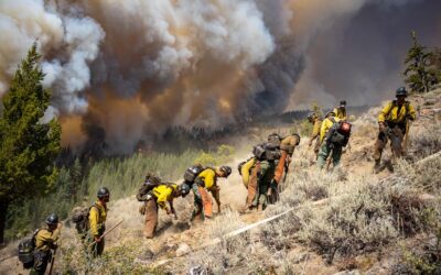 California U.S. Senator Alex Padilla Fusion Energy Bill, Critical Fire Grant Reauthorizations Passes the Senate